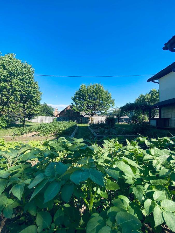 Apartma Kamnitnk Škofja Loka Exteriér fotografie